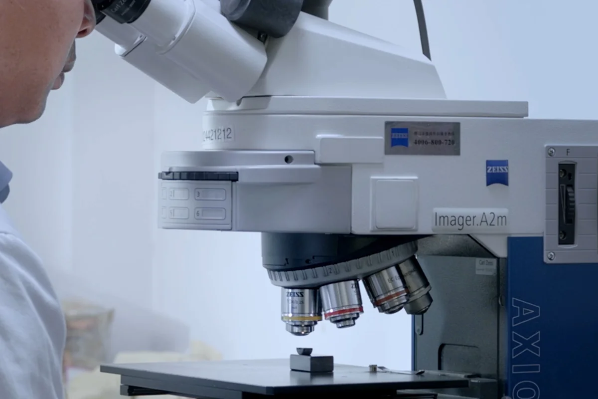 ZEISS AxioCam metallographic imaging of carbide microstructure